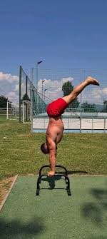 Handstand Press Program